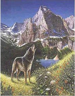 Optical Illusion Visual Test in Just Ten Seconds Only Supervision Can Identify the Hidden Wolf in This Image