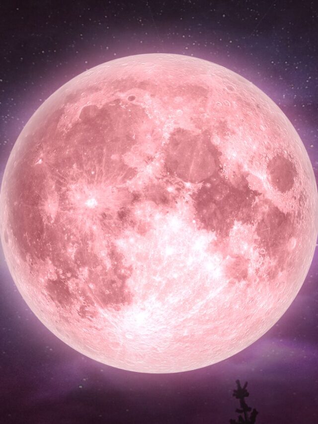 Pink Moon in Florida: See images of the Pink Moon spotted across the US